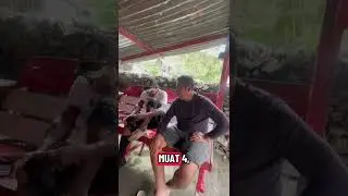 Maleo dan Bapak PAPERA Distrik Tingginambu Papua pegunungan.