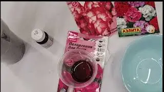 Посев пеларгоний!