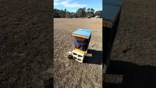 Pollen and nectar in winter???  Where is it coming from???