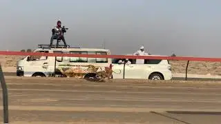 Saluki  Race Al marmoom Dubai , UAE   2021