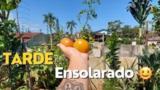 Uma tarde sol , &oacute;tima para passear pela horta !