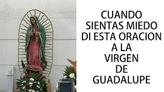 CUANDO SIENTAS MIEDO DI ESTA ORACION A LAVIRGEN DE GUADALUPE