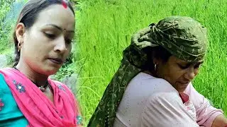 कभी-कभी अपनी तारीफ भी बनती है  ll Daily Pahadi Lifestyle Vlog ll