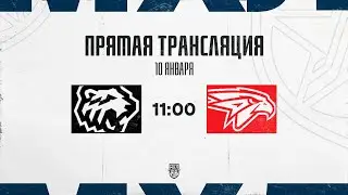 10.01.2026. &laquo;Белые Медведи&raquo; &ndash; &laquo;Омские Ястребы&raquo; | (OLIMPBET МХЛ 25/26) &ndash; Прямая трансляция