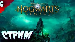 ЧТО ЗАМЫШЛЯЮТ ГОБЛИНЫ?  𒋲 Стрим  ▶ Hogwarts Legacy ➽ 6