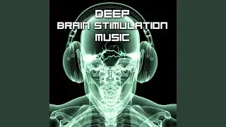 Focus Sound Therapy (Birds Chirping Ambient Sounds)