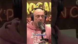 Why is the Government Allowing a Porous Border#JoeRoganPodcast #BorderSecurity #Immigration
