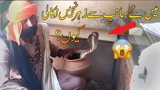 jogi catching a big snake bin at village home  | naag jogi |  | dangerous snack