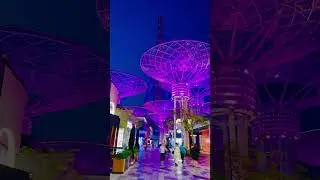 Night Mood JBR DUBAI 🇦🇪✨🤩 #sohkhan5 #dubai #jbr #travel #shortvideo #shorts #trending #foryou