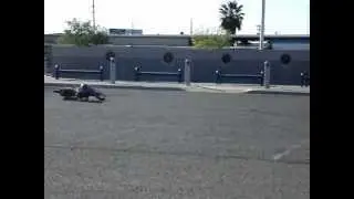 MOV04435