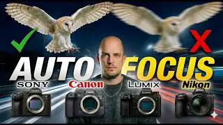 AUTOFOCUS en conditions réelles : A7 V, R6 Mark III, Z6 III, S1 II… le verdict