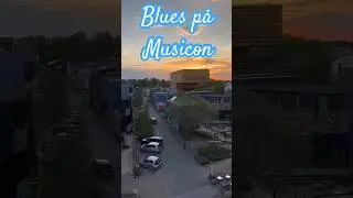 Live koncert fra Musicon Microbryggeri 🎼