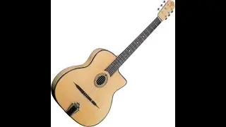 Gitane ,Guitar, Acoustic, finger style jazz, , Nic Gray, Stamford,
