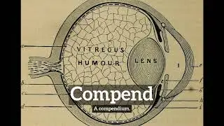 How to Say Compend in English? | How Does Compend Look? | What is Compend?