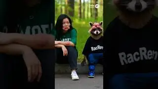 Raccoon vs Magic Bees 🐝 | When the Spell Goes Wrong