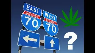 Did Arizona get cannabis licensing right or wrong? Demitri Downing from MITA.US in Vegas