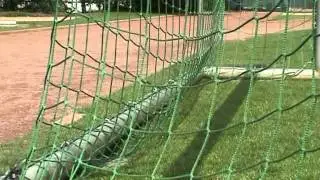 ULFen stark am Ball - eine himmlische Eingebung