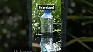 Mind-Blowing Water Facts You Didn&rsquo;t Know! 💧🌍 #Shorts