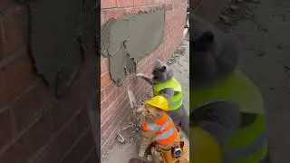 Cat Construction Crew On Duty 🚧🐾