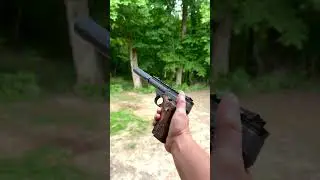 Suppressed Subsonic 22lr