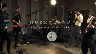 Hurryland - TIGERS ARE ALSO CATS (live at IBB Studios)