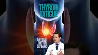 Is my thyroid causing fatigue?