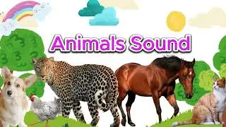 The BEST Interactive Animal Adventure For Kids