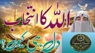 Allah Ka Intikhab – Dil Hi Kyun? | Allah Kis Dil Ko Chunta Hai? New Bayan 2026