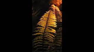 3:30:33 of ambient waves #whitenoise #relaxing #ambientwaves #soothing #calming