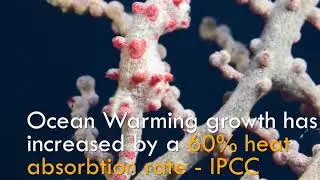 Climate Change is a Growing problem Worldwide - ICCC 2019