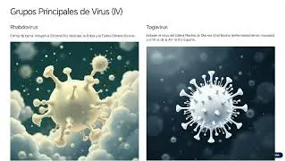 Fármacos Antivirales