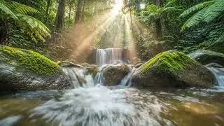 Deep Relaxation Piano & Water Sounds for Anxiety Relief