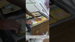 Single Chamber Vacuum Packaging Machine