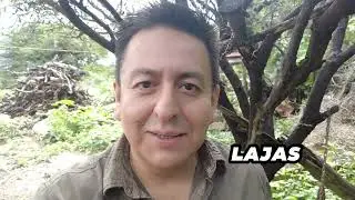 Tortas de carnaval 2026 Tarija