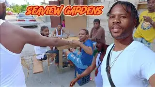 Seaview Gardens в Кингстоне | ШОКИРУЮЩИЕ КАДРЫ