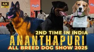 ALL BREED & BEAGLE SPECIALITY | 2nd ANANTHAPURI DOG SHOW | TRIVANDRUM |2025