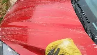 Entourage Auto Detail #autodetailingtips #detailingworldofficial #cardetailing #autdetailer