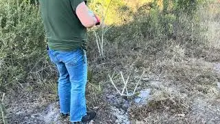 Funny Video EP 2 Planting Flower Tree