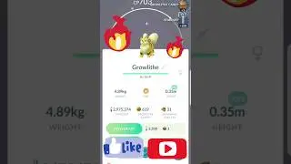 Shiny Growlithe #pokemongo #shiny #growlithe #shinygrowlithe #arcanine