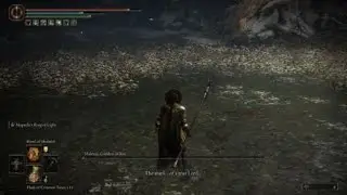 Malenia Holy Damage Only | Elden Ring