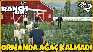 NEREDEYSE ORMANDAKİ BÜTÜN AĞAÇLARI  KESTİK 🔸 İKİNCİ BÜYÜK AHIRI VE OTOMATİK YEMLEME SİSTEMİ YAPTIK