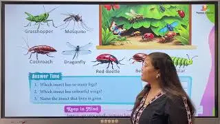 Chapter 23: Creepy Crawly Creatures | Pictures Dictionary C | Promise Educational Books