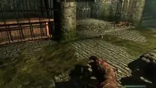 Real 1st Person View alpha 04b