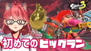 【splatoon3 】ビックランやるぞ！！！【畑澄ダイコン】