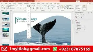 Exp22 PowerPoint Ch02 Cumulative Science Club