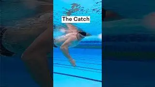 The catch #swimmingtips #swimming