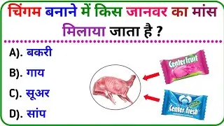 Most Brilliant Answers Of UPSC, IPS, IAS Interview Questions | सवाल आपके  हमारे जवाब | Gk
