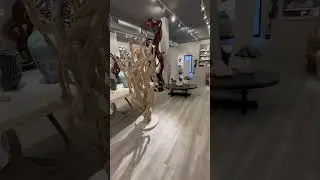Cocoon Gallery in Greenwich