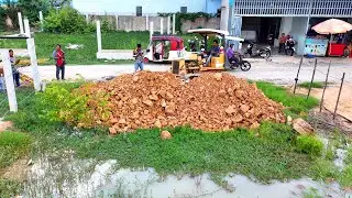 Starting This New Project Land Fill By Dozer Komatsu D20P Made ln Japan work so Fast & Truck Action