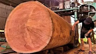 Sawmill in Action  Milling Logs into Lumber
